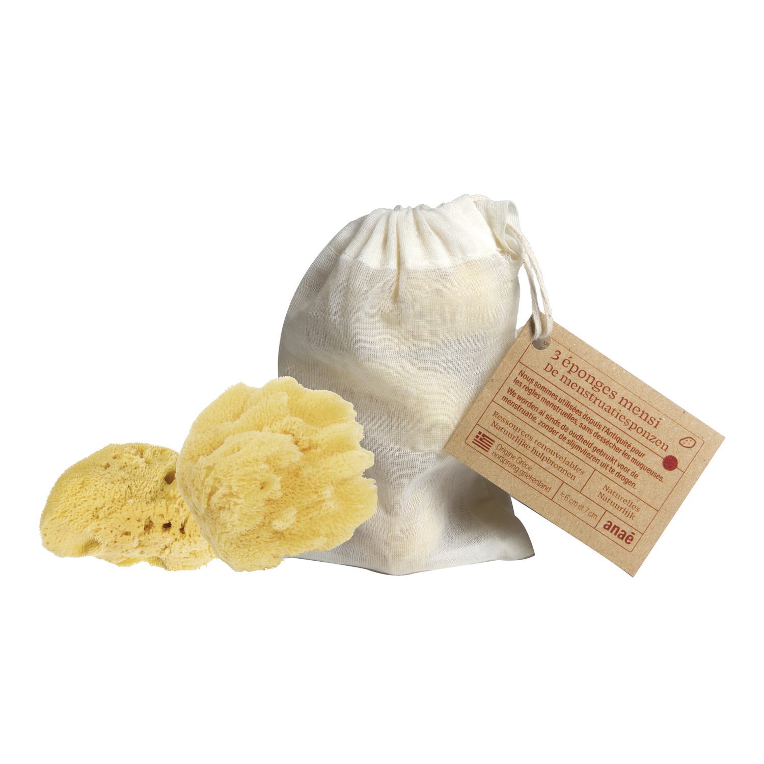 Sachet de 3 éponges Mensi